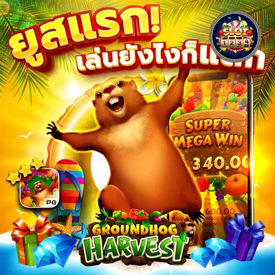 โปรโมชั่น kingkong pg slot